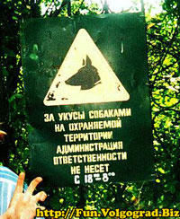 Смешной указатель