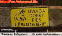 Смешной указатель